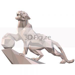 3D Figure