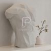 Male torso Papercraft Template